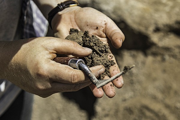 Two hands hold earth and an archaeologist's trowel.